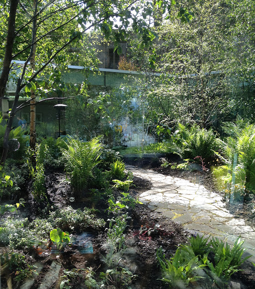 A random stone path winds through a courtyard planting scheme