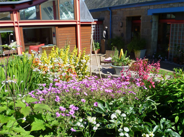 colourful planting of yellow orange and purple flowers