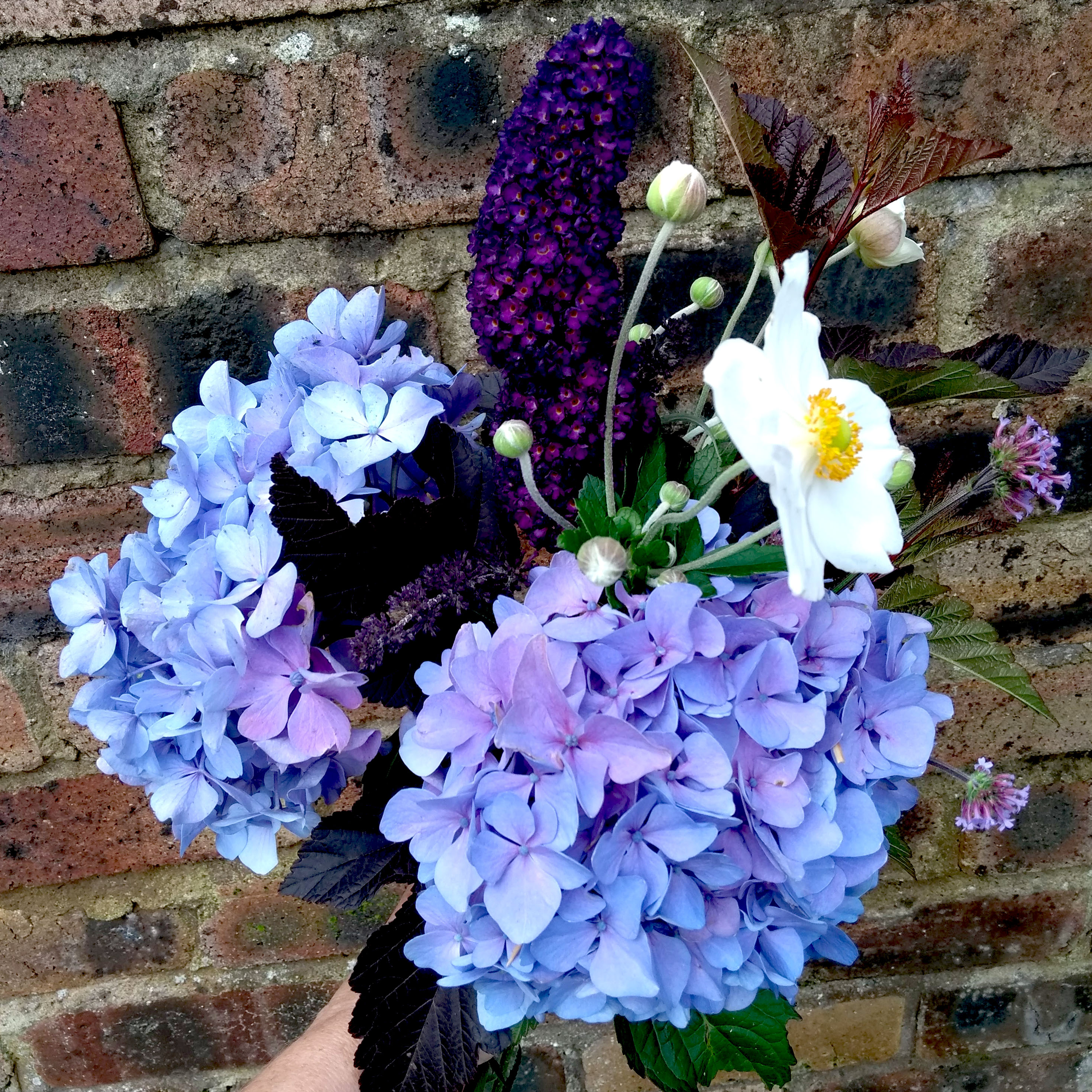 Blue hydrangea, purple buddleia and white anemone posy against a brick wall
